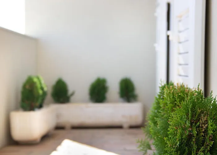 Appartement Gallery - View Of The Old Town